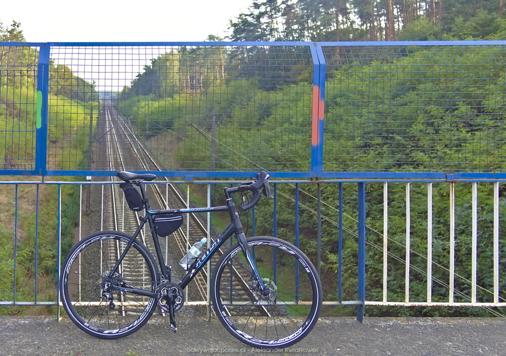 Autoportret roweru (250.0068359375 kB)