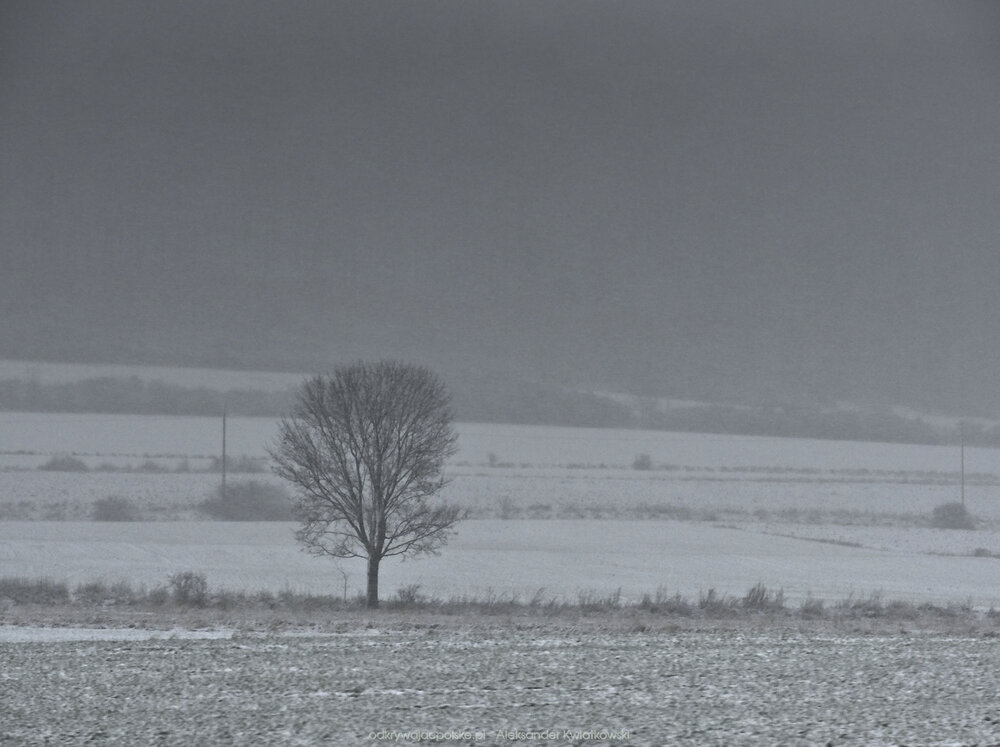 Okolice Gorzanowa (118.166015625 kB)