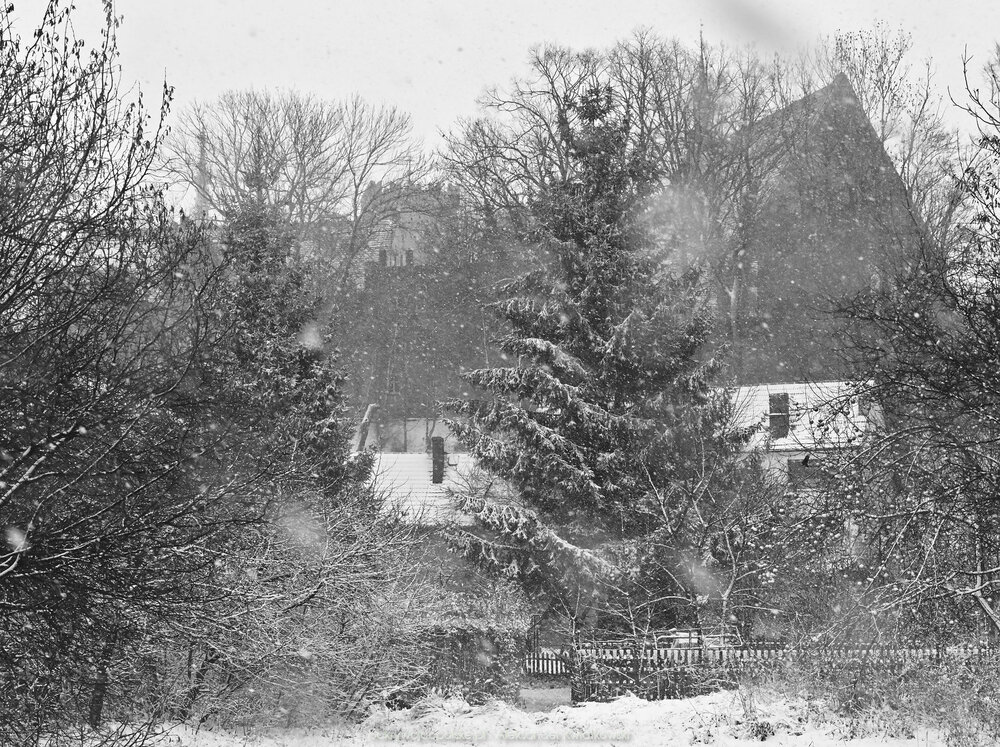 Śnieżne Ząbkowice Śląskie (312.037109375 kB)