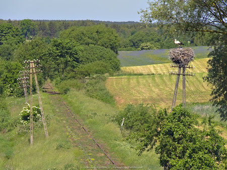 Tory kolejowe linii 212 z wiaduktu w Dąbrówce