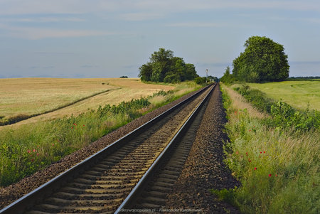 Linia kolejowa w stronę Skoków/Wągrowca