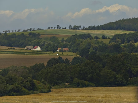 Okolice wsi Sulisławice
