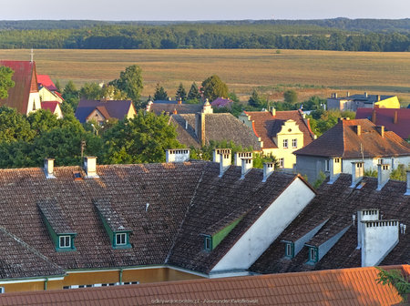 Dachy domów w Ińsku