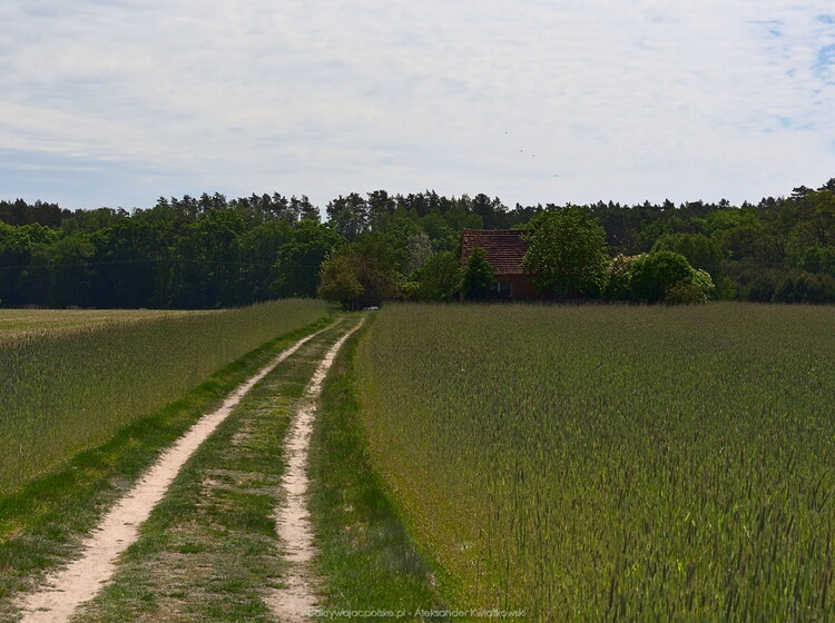 Ukryty dom we wsi Chojno-Młyn (147.427734375 kB)