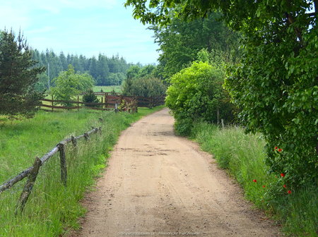 Droga do wsi Ostrowin