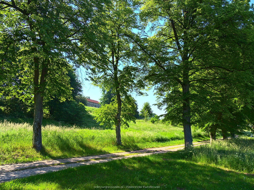 Wieś Parchlino (1) (378.8994140625 kB)