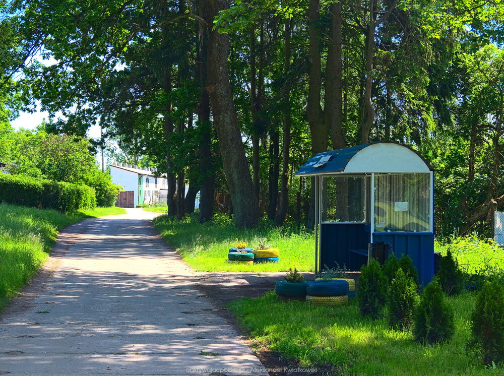 Przystanek autobusowy w Nowym Ludzicku (334.0830078125 kB)