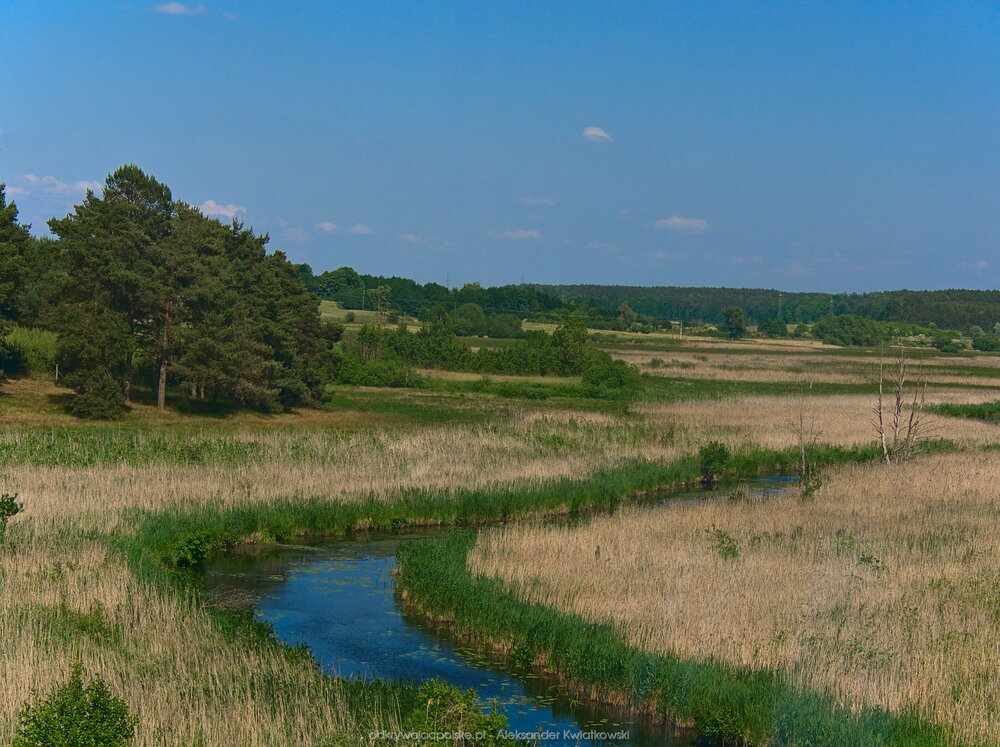 Okolice Dobiegniewa (209.330078125 kB)