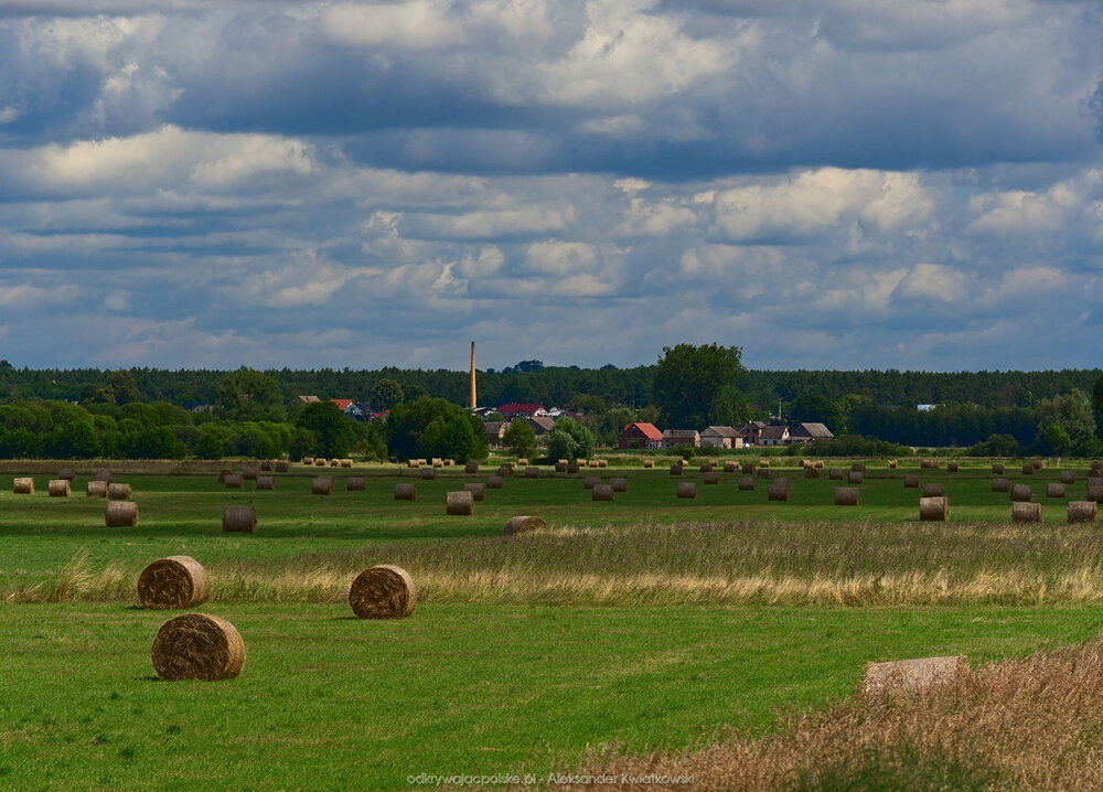 Okolice Sarbiewa (187.6533203125 kB)