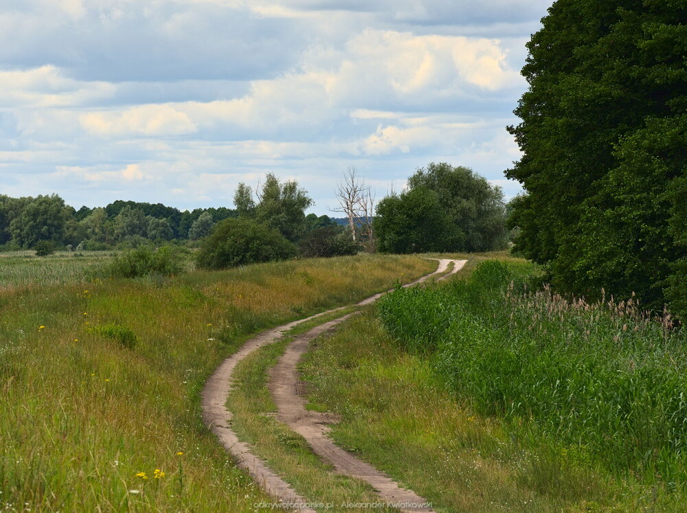 Droga do Noteci (227.9140625 kB)