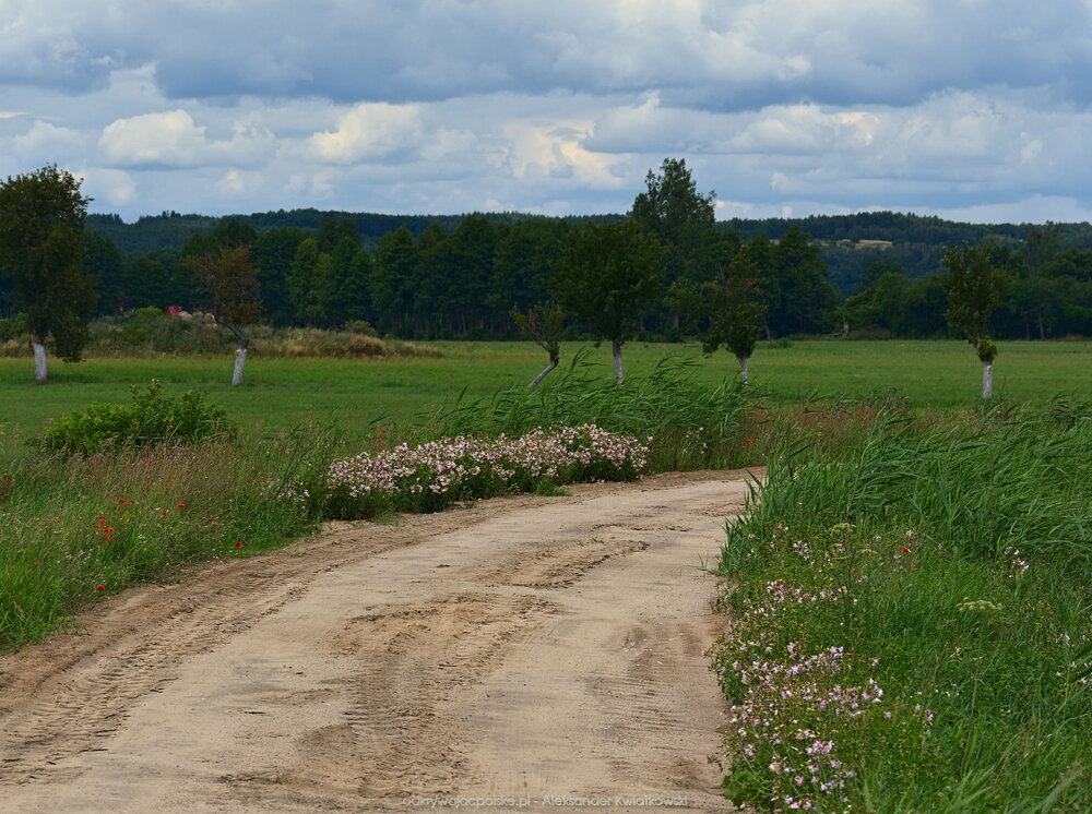 Szlak rowerowy do Trzebicza (218.525390625 kB)