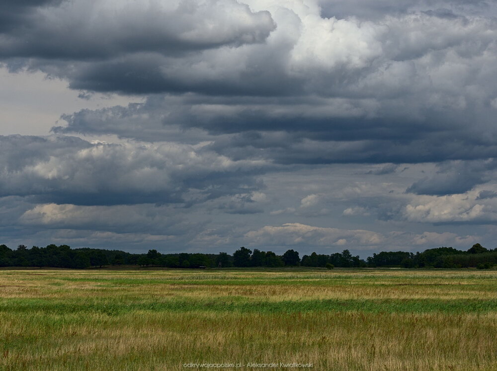 Idealna nadnotecka łąka i idealne chmury (157.4521484375 kB)