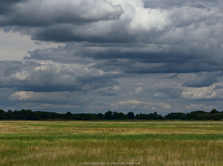 Idealna nadnotecka łąka i idealne chmury (116.765625 kB)