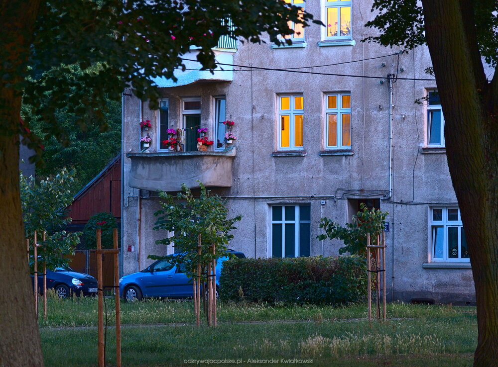 Budynki przy ulicy Zamkowej z kotem (254.396484375 kB)