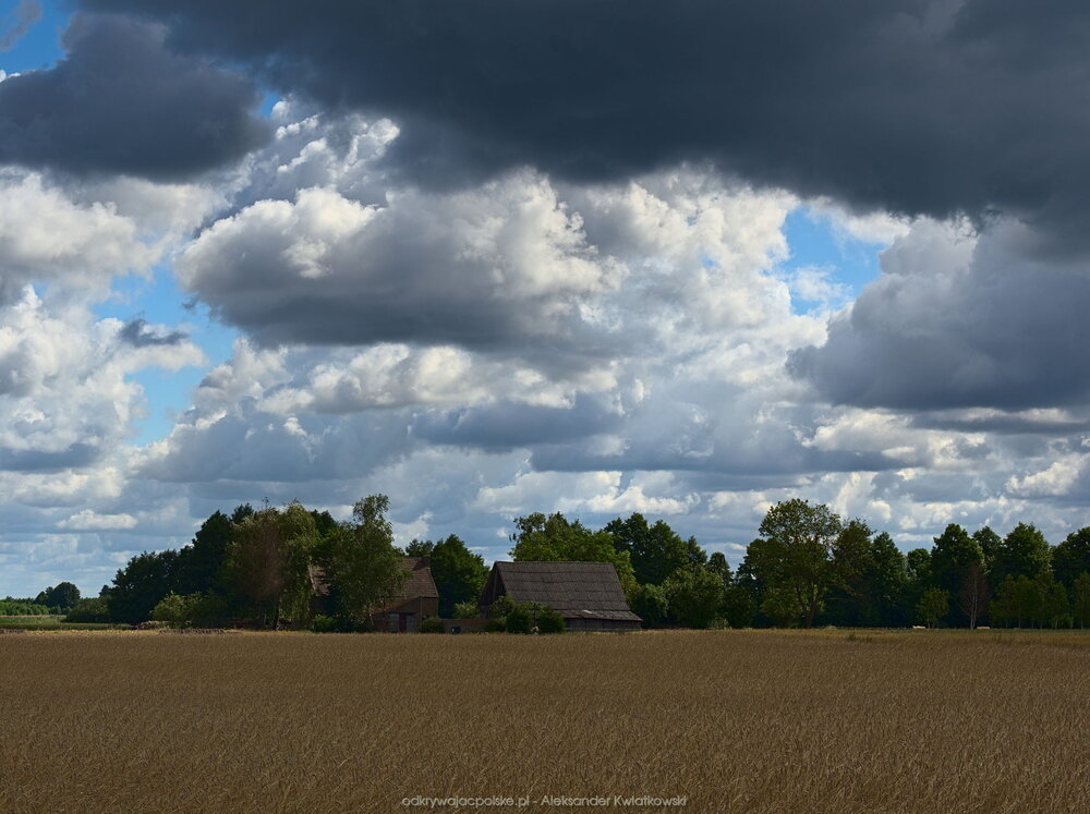 Okolica Marzenina (161.26953125 kB)