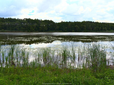 Jezioro Piast