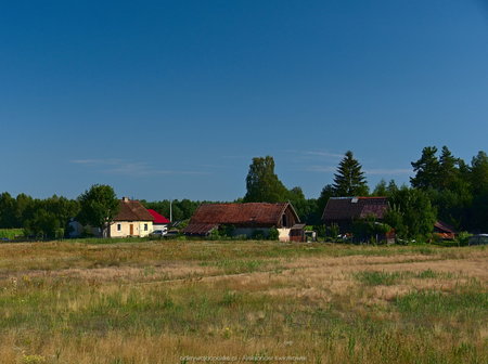 Domy w okolicy wsi Olszyny
