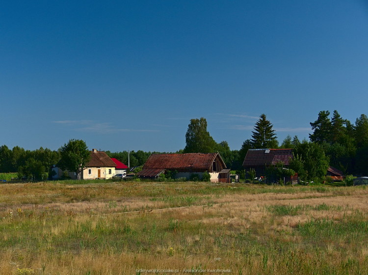 Domy w okolicy wsi Olszyny (124.4423828125 kB)