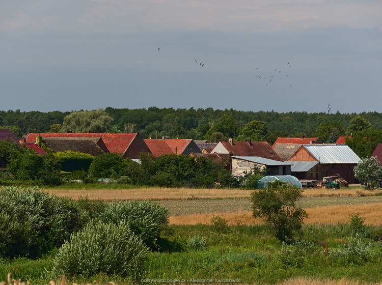 Budynki wsi Ołobok (151.34375 kB)