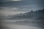 Mgły nad Rzepedzią