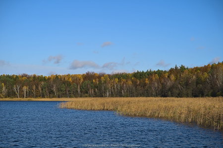 Jezioro Bierzwnik