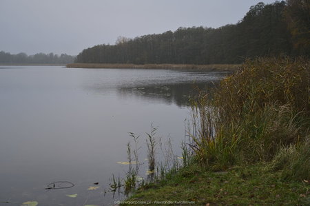 Jezioro Worowskie