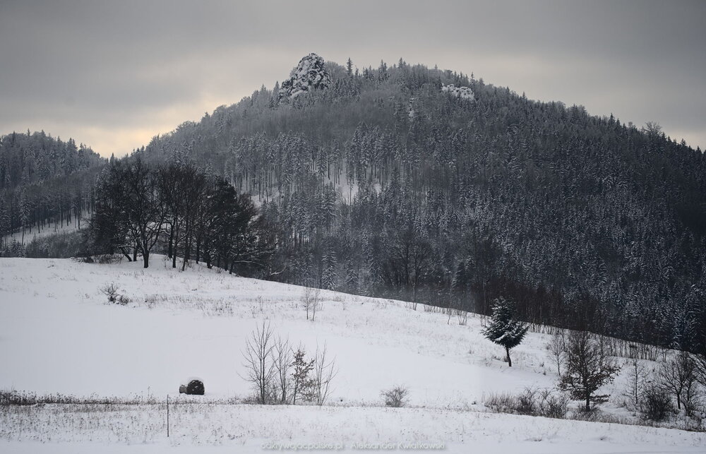 Zimowe Sokoliki z pociągu (191.947265625 kB)