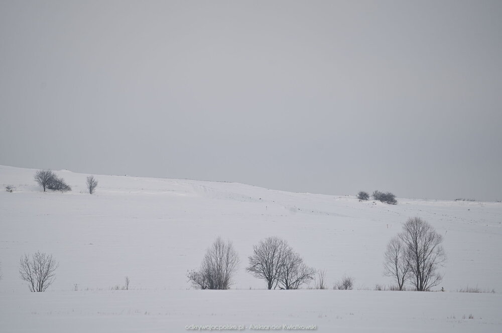 Prawdziwa zima (96.6689453125 kB)