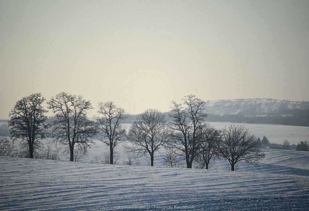 Okolica Białego Kościoła (184.4453125 kB)