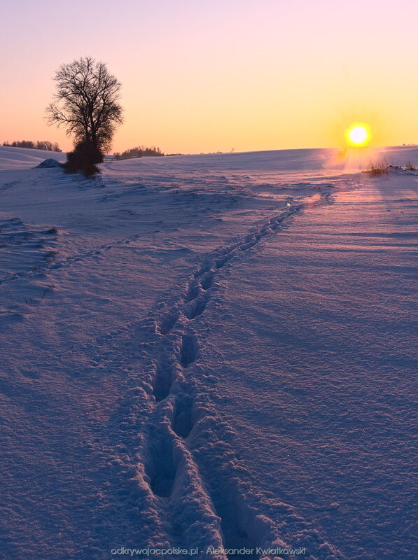 Ślady na śniegu (147.794921875 kB)