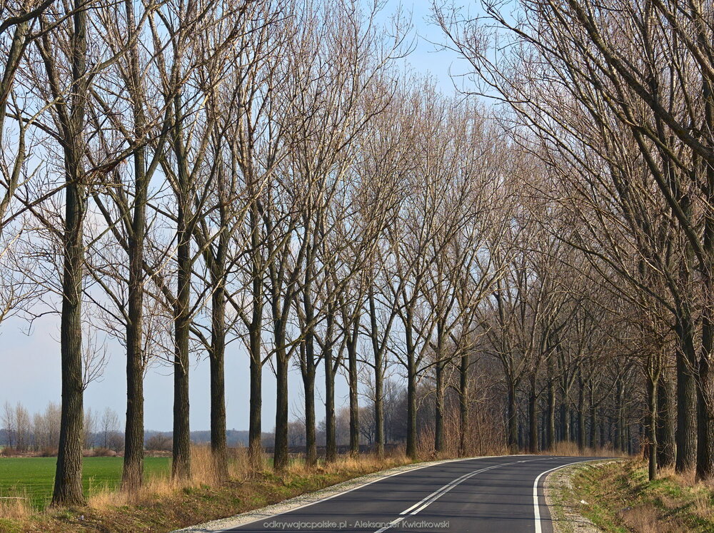 Droga do Jegłowa (380.58203125 kB)