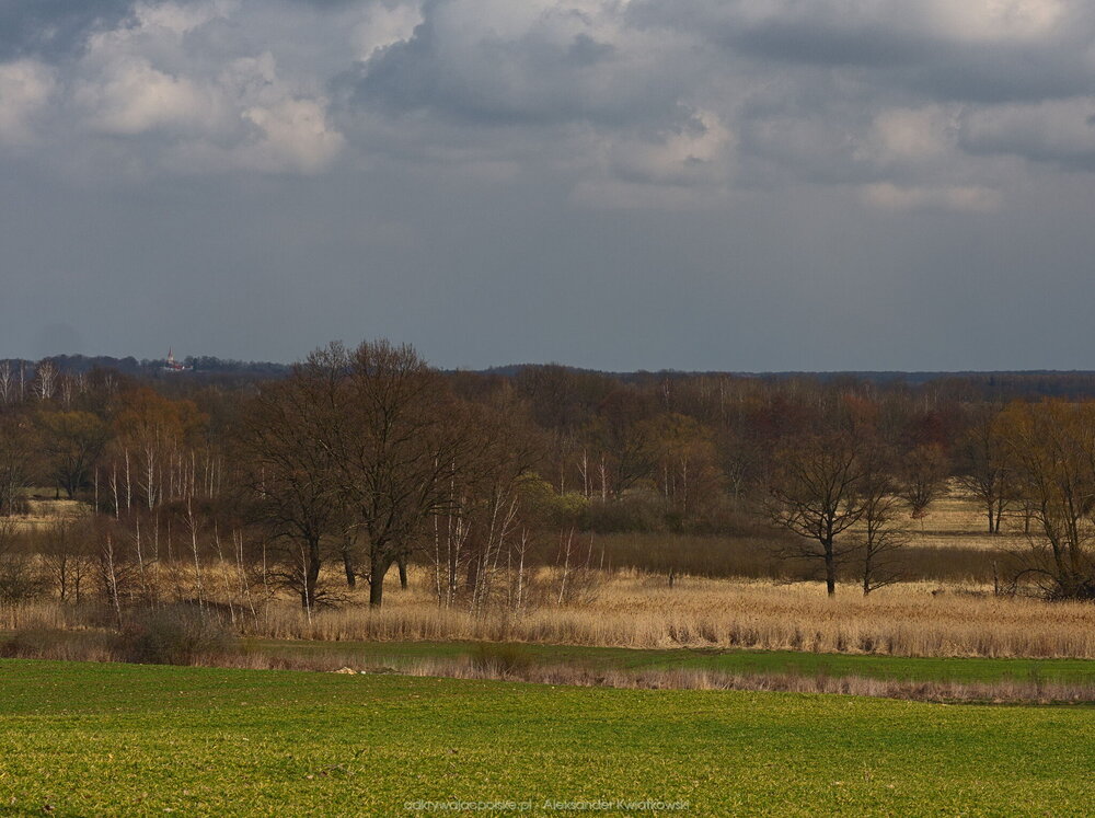 Dolina Krynki (183.8486328125 kB)