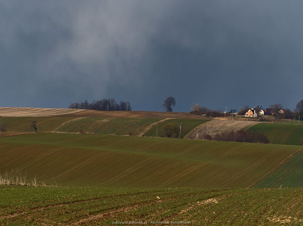 Pofalowane pola w okolicy Słupic (158.083984375 kB)