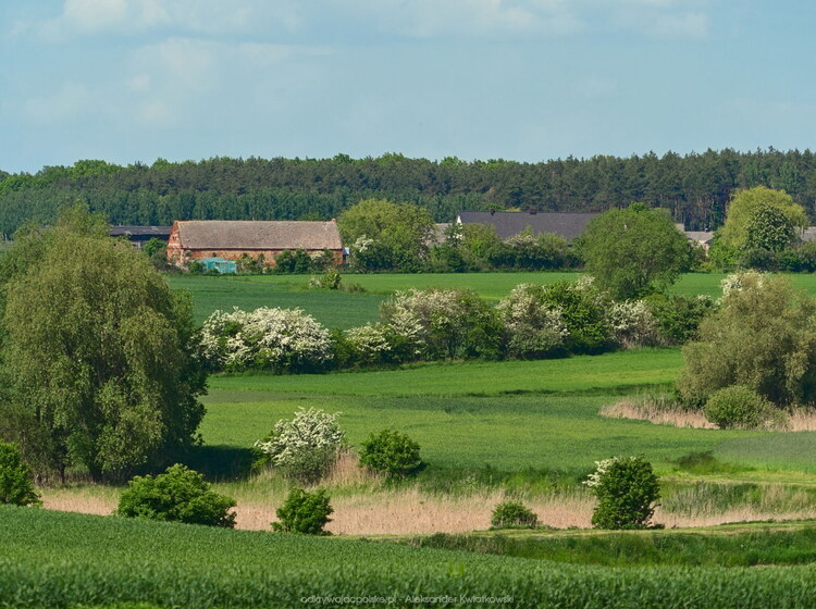 Okolice Łagiewnik Kościelnych (161.7265625 kB)