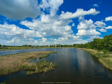 Jezioro Gorzuchowo