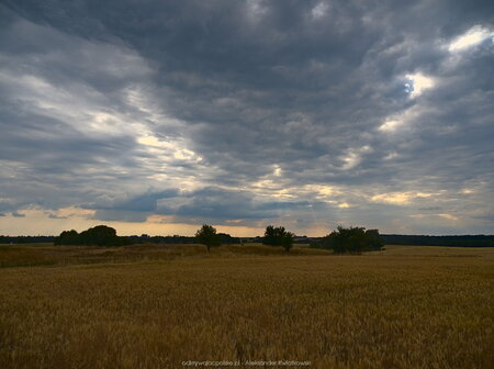 2021_07_04__17_48__7048061-hdr.jpg