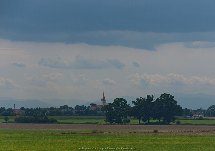 Okolice Grodkowa (Brzeg) (89.4599609375 kB)