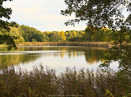 Jezioro Jerzyńskie