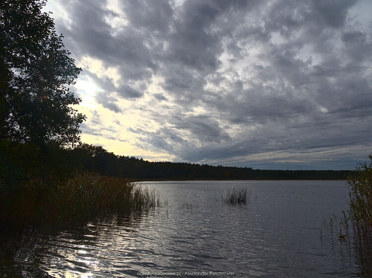 Jezioro Wronczyńskie (140.0 kB)