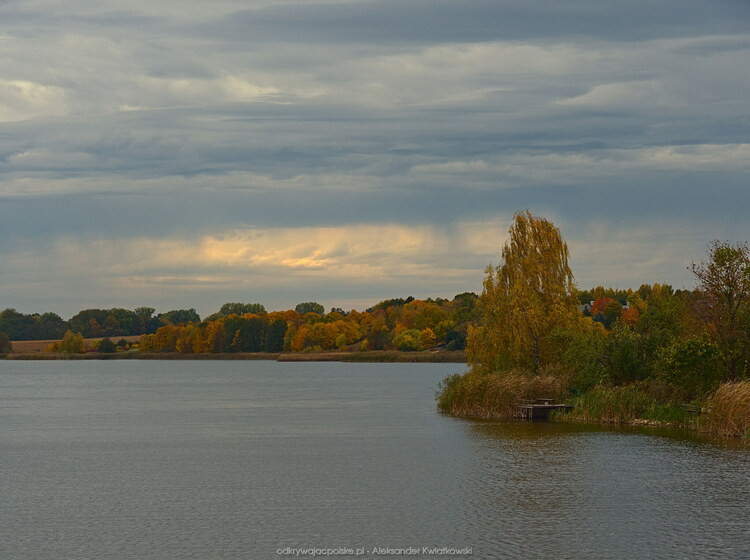 Jezioro Kowalskie (107.8955078125 kB)