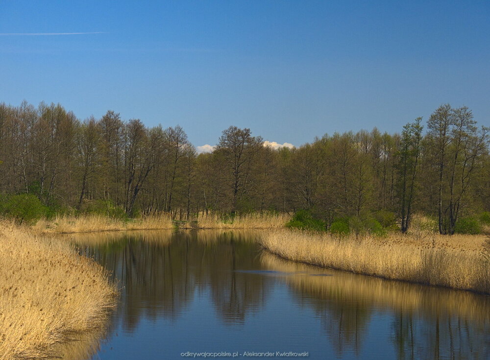 Noteć obok Drawskiego Młynu (181.58203125 kB)