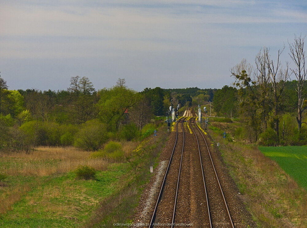 Tory w stronę Gorzowa (215.9111328125 kB)