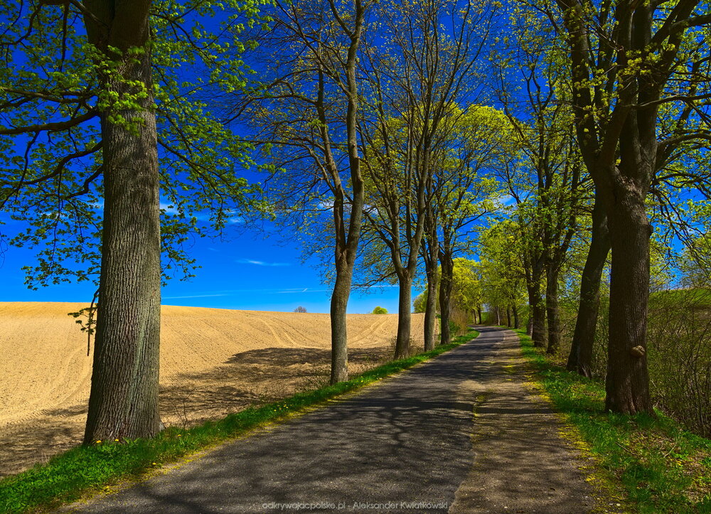 Droga do Rakowa (357.52734375 kB)