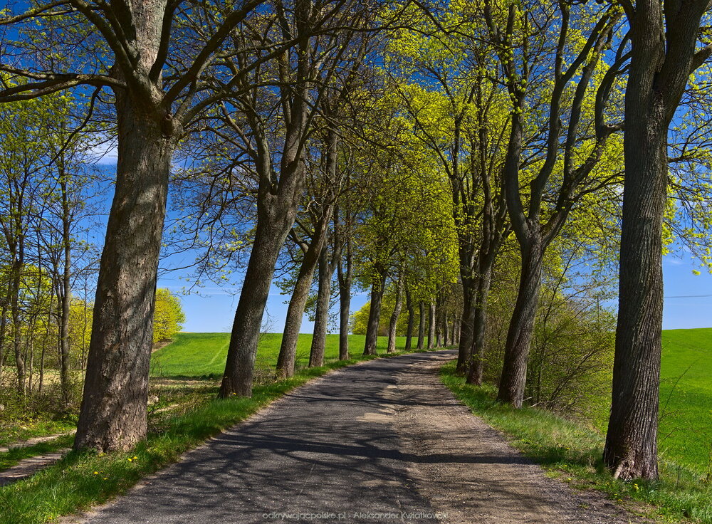 Idealna droga na rower (373.9765625 kB)