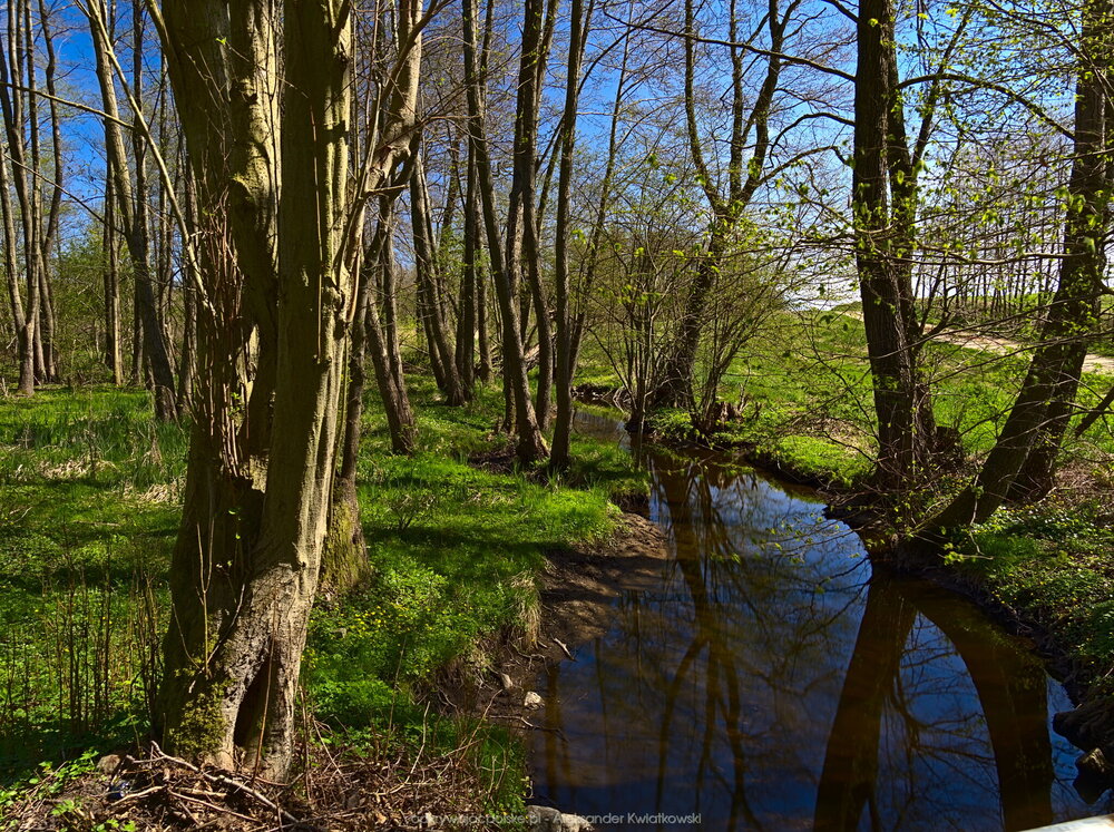 Rzeka Wardynka (362.8671875 kB)