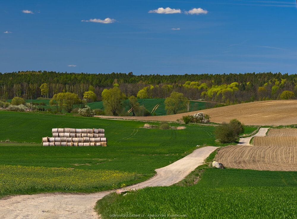 Pofalowane pola obok Rzecka (208.345703125 kB)