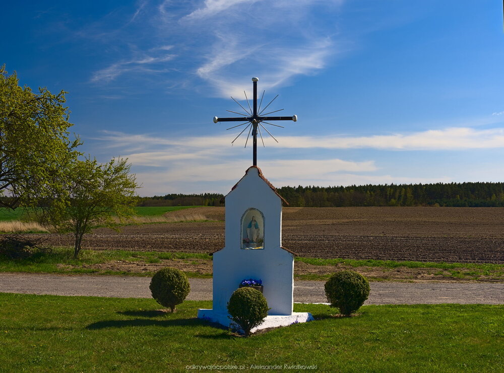 Krzyż w Zeliszewie (204.962890625 kB)