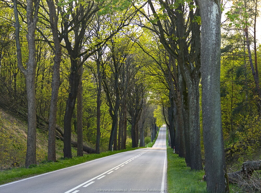 Droga 175 do Choszczna (345.20703125 kB)