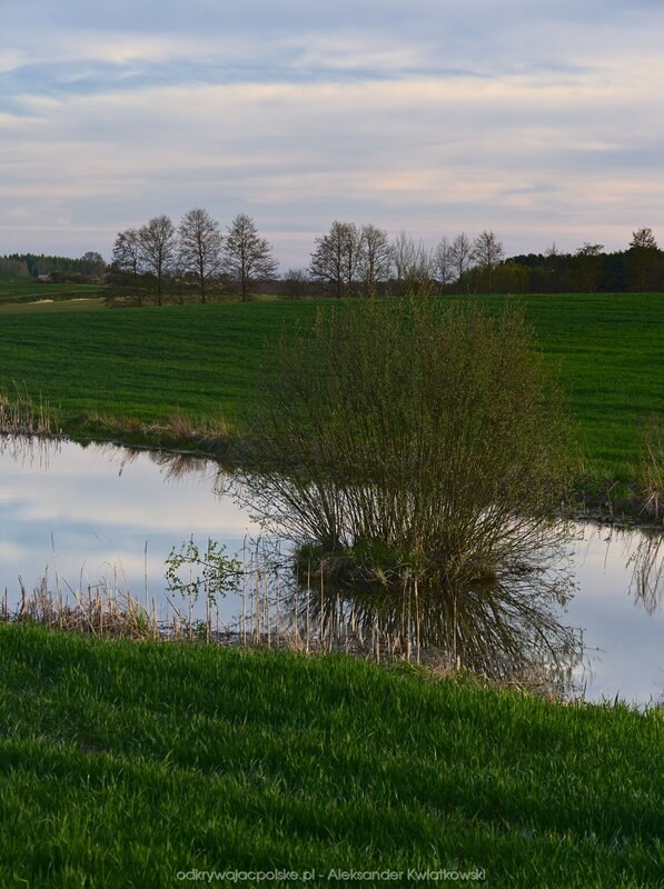 Polne oczko wodne (151.1494140625 kB)