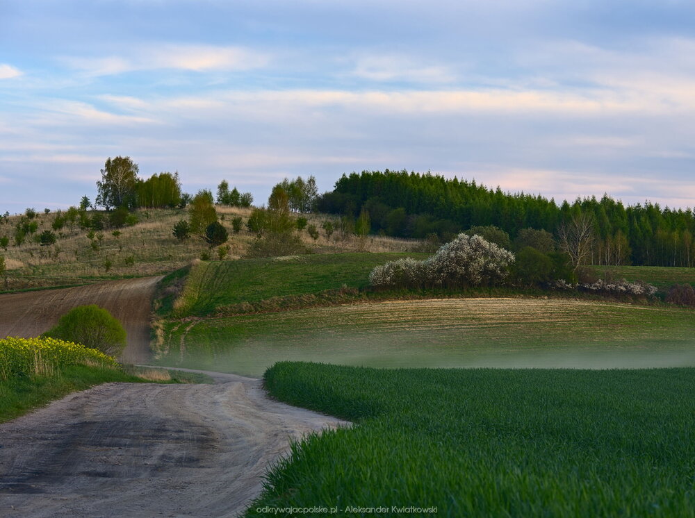 Droga powrotna (176.705078125 kB)